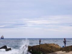 ¿Qué hacer ante una alerta de tsunami? el COE emite recomendaciones