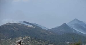 77,000 hectáreas quemadas en el centro de España