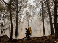 El fuego en el bosque de Fontainebleau arrasa ya más de 1.900 hectáreas