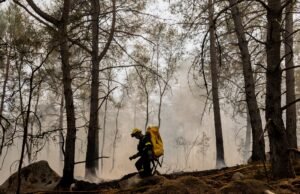 El fuego en el bosque de Fontainebleau arrasa ya más de 1.900 hectáreas