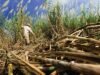 El territorio que aprendió a cómo producir futuro