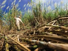 El territorio que aprendió a cómo producir futuro