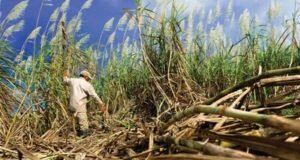 El territorio que aprendió a cómo producir futuro