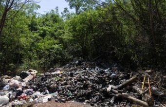 Basura y contaminación en solares y Autovía del Este en Guayacanes