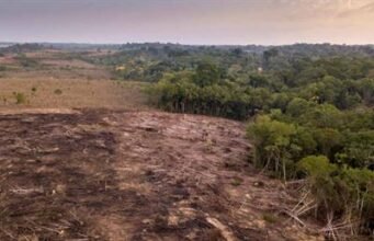 Cambio climático produciría mayor calentamiento en zonas tropicales