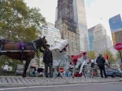 Carruajes de Central Park: 150 años de historia con fin en Nueva York
