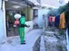 Con seis nuevas confirmaciones, los casos de dengue suben a 245