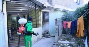 Con seis nuevas confirmaciones, los casos de dengue suben a 245