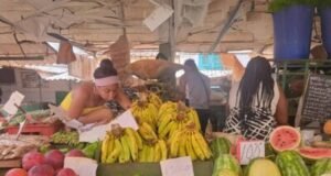 Cuba abre comercio de productos agrícolas al sector privado