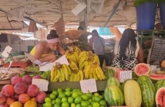 Cuba abre comercio de productos agrícolas al sector privado