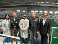 Demanda turística hace que RD busque replicar piscifactoría española