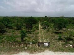 Caso del Aeropuerto de Bávaro es referencia de derecho
