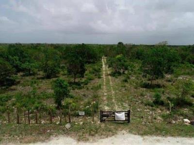 derogan-decreto-del-aeropuerto-internacional-de-bavaro-focus-0-0-400-300