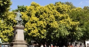 El 52.5 % de capitaleños hace turismo en SD una vez al mes o menos