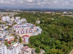 El área verde de Don Honorio, un pequeño bosque tropical en riesgo