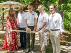 El Jardín Botánico amplía su oferta con café y biblioteca infantil