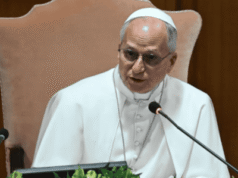 El papa advierte sobre el reto entre salud mental y tecnología