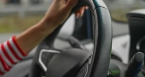 ¿El riesgo es un carro chino o el servicio posventa?