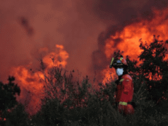 España recibe ayuda internacional para combatir incendios forestales