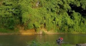 Estadísticas de muertes por ahogamiento en República Dominicana