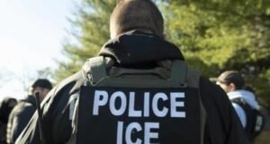 México: 20 denuncias en EE.UU. muertes en custodia ICE