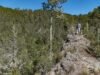 Dos hombres a prisión por devastar 30 tareas de tierra en Valle Nuevo