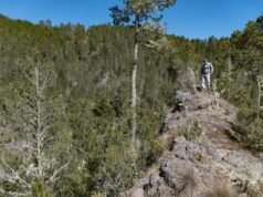 Dos hombres a prisión por devastar 30 tareas de tierra en Valle Nuevo