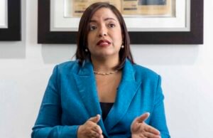 Los chinos y el comercio dominicano