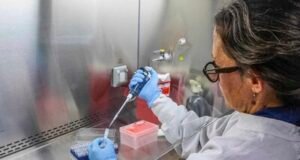 Recuerdos del COVID-19 se avivan por brote de hantavirus en crucero