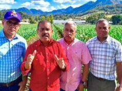 PLD reclama saldar deudas con productores de ajo