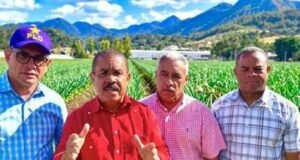 PLD reclama saldar deudas con productores de ajo