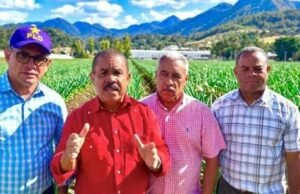 PLD reclama saldar deudas con productores de ajo