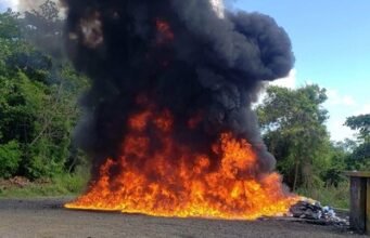 Inacif quema drogas en un nuevo operativo de destrucción