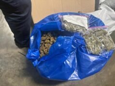 Incautación de marihuana en AILA durante operativo de la DNCD