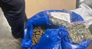 Incautación de marihuana en AILA durante operativo de la DNCD