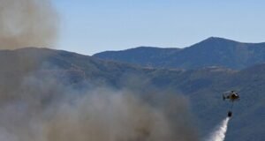 Incendios queman bosques en Europa atizados por el calor extremo