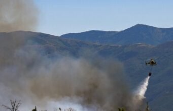 Incendios queman bosques en Europa atizados por el calor extremo