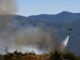 Incendios queman bosques en Europa atizados por el calor extremo