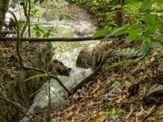 Inoperancia de plantas de tratamiento genera crisis sanitaria