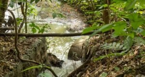 Inoperancia de plantas de tratamiento genera crisis sanitaria