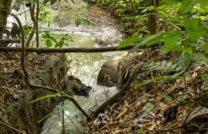 Inoperancia de plantas de tratamiento genera crisis sanitaria