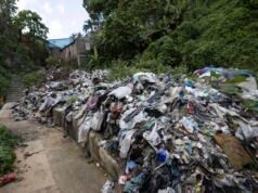 La Barquita: de pulmón verde a zona olvidada por Medio Ambiente