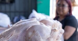 La libra de pollo está entre RD$70 y RD$85 en el Gran Santo Domingo