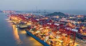 La OMC crea panel para conocer disputa entre India y China