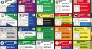 Presupuesto de partidos: organizaciones cuestionan recorte de 50 %