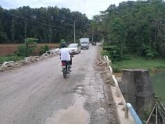 Más de una década en abandono del puente Quinta Sueño- Hato Nuevo