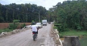 Más de una década en abandono del puente Quinta Sueño- Hato Nuevo