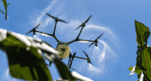 Sector agropecuario en República Dominicana pide tecnología y relevo