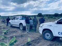 Migración detecta cerca de 700 extranjeros irregulares en fincas