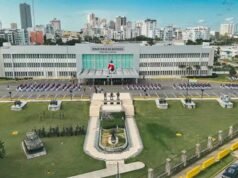 Abinader emite decreto con ascensos y retiros en Fuerzas Armadas